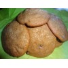 Oven Fresh Sweets HOMEMADE APPLESAUCE RAISIN COOKIES (2 DOZEN)