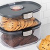 Progressive ProKeeper International Airtight Food Storage Container with Terracotta Disk