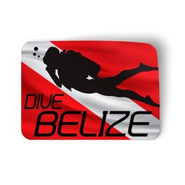 Squiddy Dive Belize - Vinyl Sticker for Car, Laptop, Notebook (5" Wide)