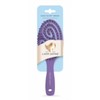 Lady Jayne Buy Lady Jayne Purse Size Flexi-Glide Detangling Brush Online | Chempro Chemists