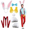 6 Pcs Halloween Bunny Rabbit Costume Set Bunny Ear Headband