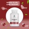 Ashwagandha Extract 500 mg 60 Capsules Indian Ginseng Memory