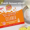 Lemi Shine Foaming Garbage Disposal Cleaner and Deodorizer - Citric