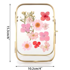 JUXYES 4x6 Inch Tabletop Brass Photo Frame - Rectangular Double Glass Desktop Frame for Pressed Flower, Double Sided Glass Artwork Display