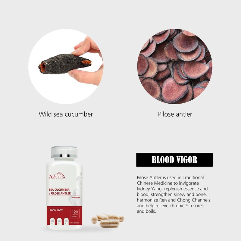 Arctica Sea Cucumber & Pilose Antler Complex Capsule, Blood Vigor,