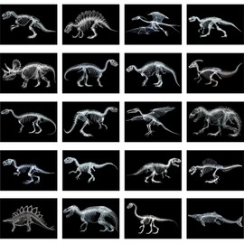 Chunful 20 Pcs Animal X-Ray Kit Wildlife X-Ray Flash Cards Educational Science Kit Light Table Toys Accessory, 11.7" x 8.3'' (Dinosaurs)