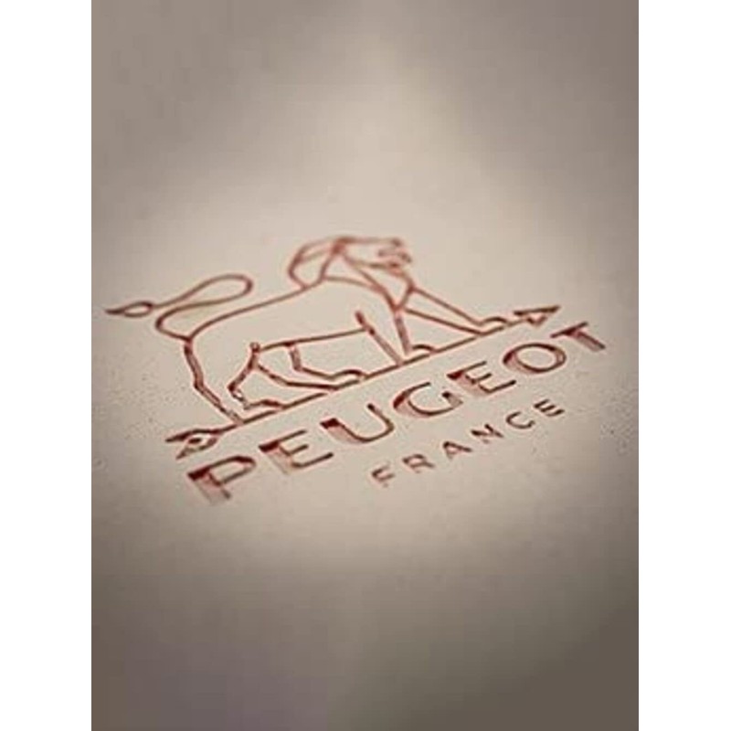PEUGEOT - Rectangular ceramic casserole dish - 25 cm x