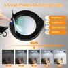 12XMagnifying Glass with Light and Stand|Magnifying Lamp with 3-Section Swing