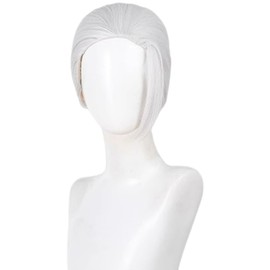 Taro Sakamoto Cosplay Wig, All Back Wig, Bun Hair Accessories, Men's Wig, Heat Resistant, Wig, Long Massage, Handsome Long, Bangs, Anime (Silver)