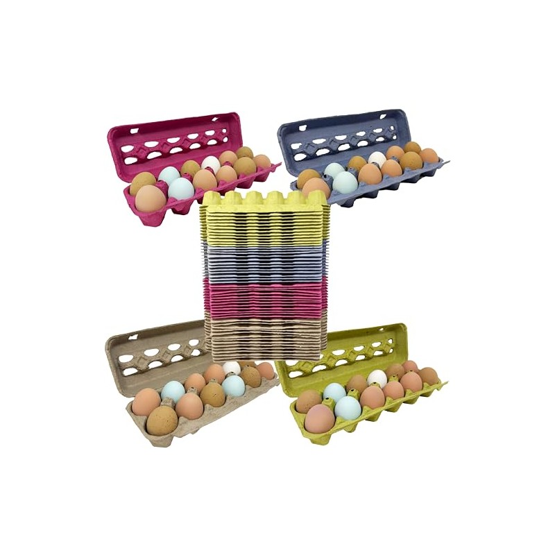 Paper Pulp Egg Cartons - Assorted Colors - 50 Pack