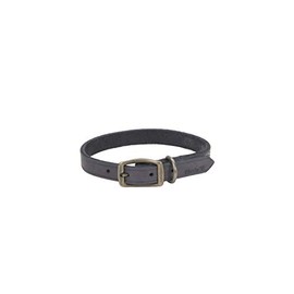 Coastal Pet - Circle T - Rustic Leather Town Dog Collar, Slate Grey, 1” x 18”