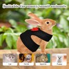 AIITLE Rabbit Harness and Leash Set with Cute Bow, Soft