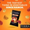 Terra Original Sea Salt Real Vegetable Chips 1.5 oz (Pack