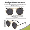 Dollger Round Retro Sunglasses Steampunk Sunglasses Flip Up Sunglasses for
