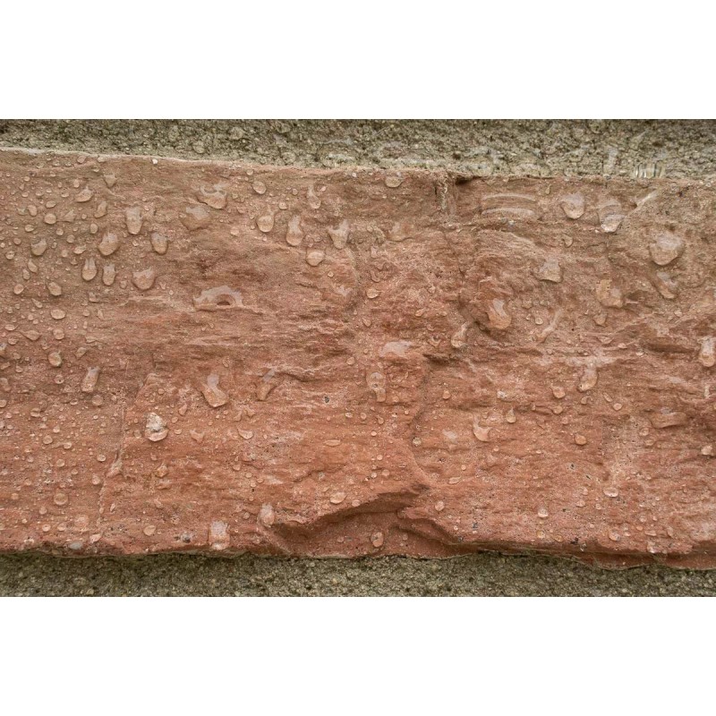 MasonryDefender All Purpose Concrete, Brick & Stone Sealer, Clear Penetrating
