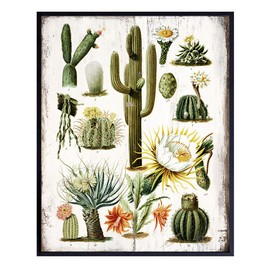 Cactus Wall Art - Desert Decor - Vintage Rustic Sonoran Wall Art for Bedroom, Living Room, Office, Bathroom - Unique Gift, Decorations - Haeckel Botanical Saguaro Cactus Blossom - 8x10