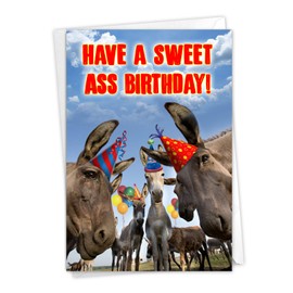 NobleWorks - Funny Donkey Birthday Card with Envelope - Adult Bday Greeting, Pun Stationery Notecard - Sweet A-s C7191BDG