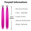 THEMIS HAIR Braid Ponytail Extension 2 Pack 26 Inch Rose
