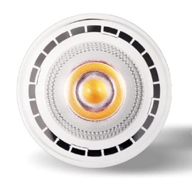 SPW Pro-Trade PAR36 LED 6W 400 Lumens 2700K 40 Degree PT-PAR36-6FL-27 30,000 Hours 10-15V Dimmable Low Voltage 12v Landscape Lighting Bulb Dimmable Lamp IP67 Rated