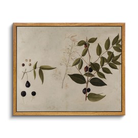 VIYYIEA Framed Vintage Botanical Wall Art Prints Vintage Plant Canvas Wall Art Rustic Farmhouse Bathroom Wall Decor for Bedroom Living Room Bathroom Artwork 9"x11"