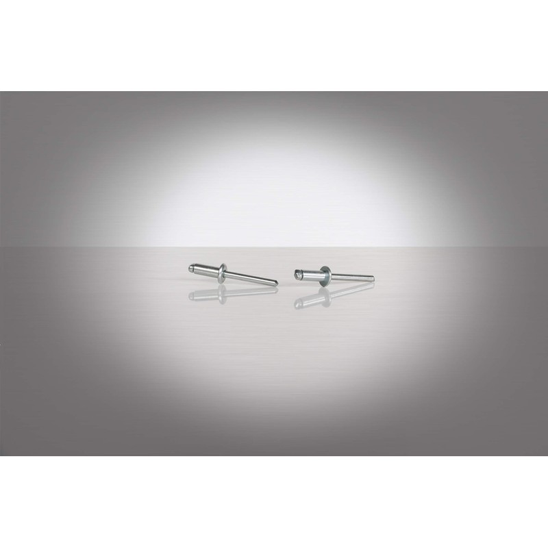 GESIPA 50 x aluminium blind rivets, diameter 5.0 x 10.0
