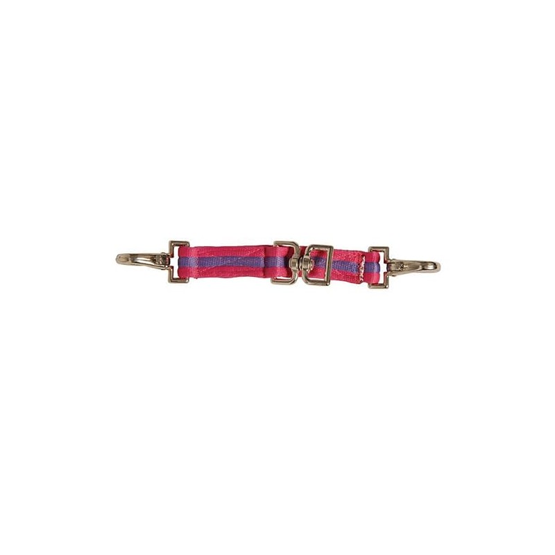 Kincade Two Tone Lunging Attachment, Pink/Purple