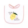 Hudson Baby Cotton Terry Drooler Bibs with Fiber Filling, Fruits,