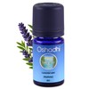 Oshadhi Stainless, Lavender Maillette Organic, , 5 ml, ,