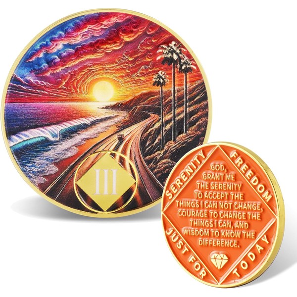 Leafence Sunset Beach Sobriety Coin Commemorative Coin Recovery Addiction NA