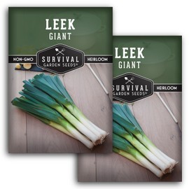 Giant Leek Seed for Planting - 2 Packets with Instructions to Plant and Grow Enormous Leeks in Your Home Vegetable Garden - Non-GMO Heirloom Variety - Survival Garden Seeds