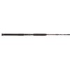 PENN Rampage Jig 6’2” Nearshore/Offshore Conventional Rod; 1-Piece Fishing Rod,