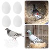 White Fake Eggs Solid Plastic Dummy Pigeon Eggs for Pigeons