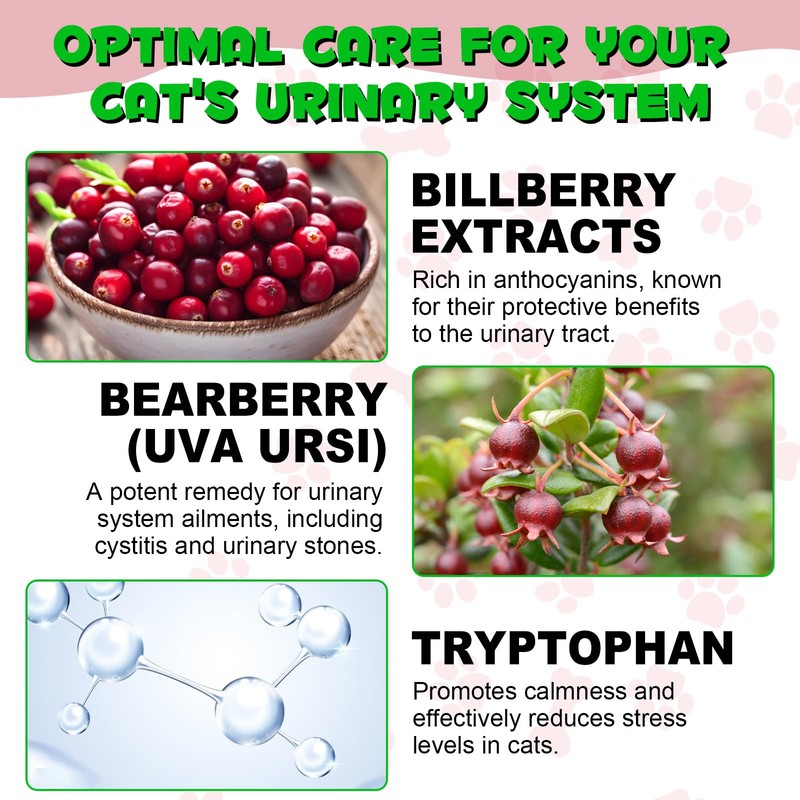 Feline Urinary Tract Health, Cat uti Remedy, Natural Herbal Supplement