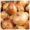 Everwilde Farms - 1 Lb Texas Early Grano Onion Seeds