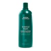 Aveda Botanical Repair Strengthening Shampoo | Fortalece y Repara