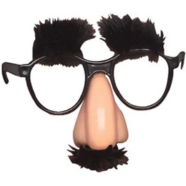 Rhode Island Novelty Child's Disguise Glasses, One Pair