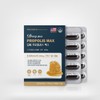 프로폴리스 맥스 항산화에도움 아연 셀레늄 프로폴리스추출물 부모님선물 60캡슐 Propolis Max Antioxidant Support with Zinc Selenium Propolis Extract Parent Gift 60 Capsules