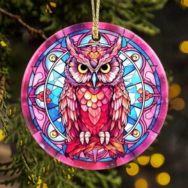 Vintage Owl Christmas Ornaments 2024, Funny Christmas Ornaments for Tree - Round Acrylic Owl Gifts for Owl Lovers, Holiday Decorations & Xmas Gifts Ideas for Friends and Family (Owl)