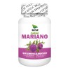 Cardo Mariano 100 Cápsulas Silimarina Potentes Propiedades Hepatoprotectoras Desintoxica Regenera