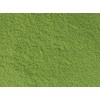 Kahoruen Commercial Grade Gyokuro Powder (Powdered Tea) 100% 17.6 oz