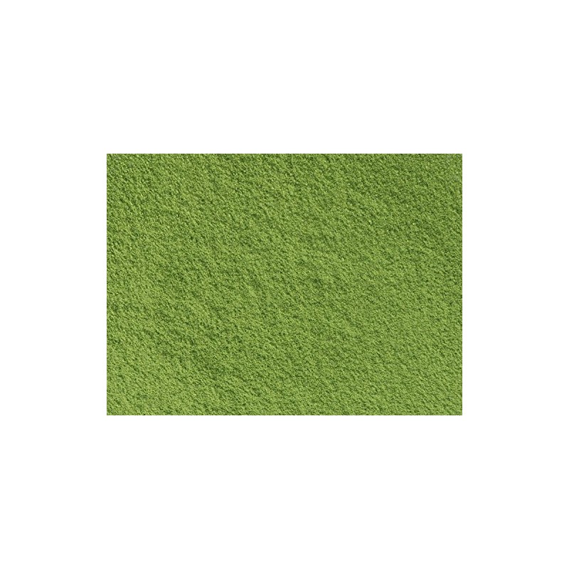 Kahoruen Commercial Grade Gyokuro Powder (Powdered Tea) 100% 17.6 oz