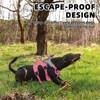 PUPTECK Escape Proof Dog Harness and Leash Set Upgraded No