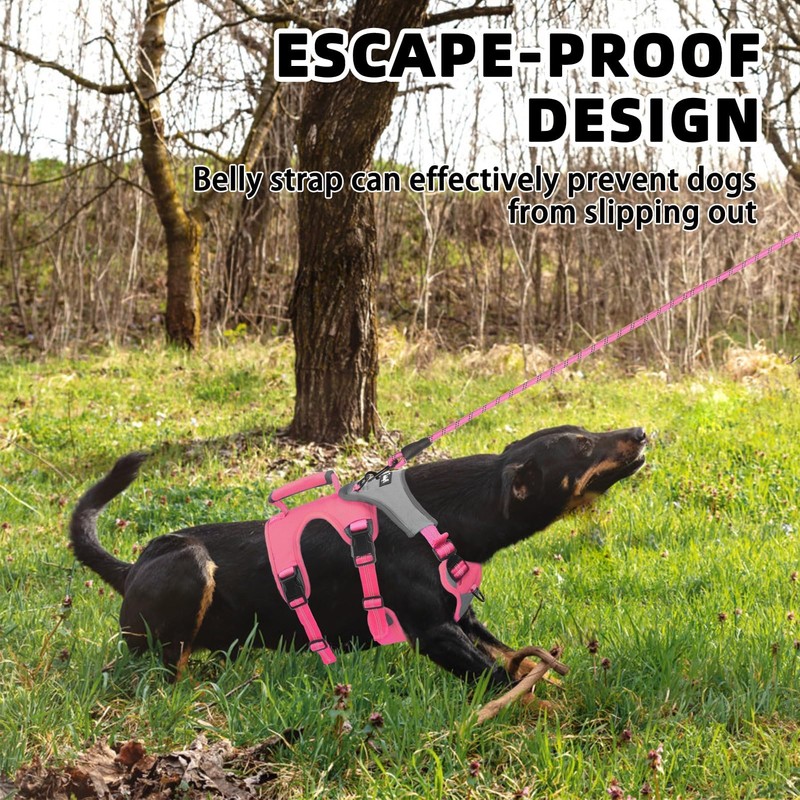 PUPTECK Escape Proof Dog Harness and Leash Set Upgraded No