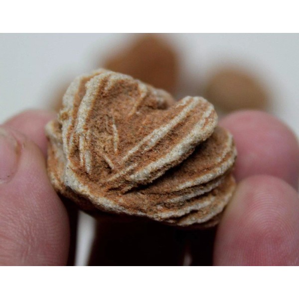 ONE Desert Rose Selenite Sandstone Crystal Formation! Moroccan Desert Rose!