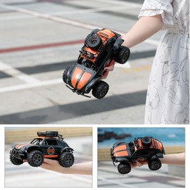 KY-1816A RC Truck 2.4G 2WD 1/18 Scale RC Crawler Off-road Truck Infinite Speed RC Car Solid Durable RC Car Toys for Kids Adults RTR