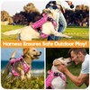Heavy-Duty Tactical Dog Harness for Large Dogs, No Pull Adjustable