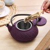30 oz Cast Iron Teapot Enamel Lining W/Metal Infuser Tea