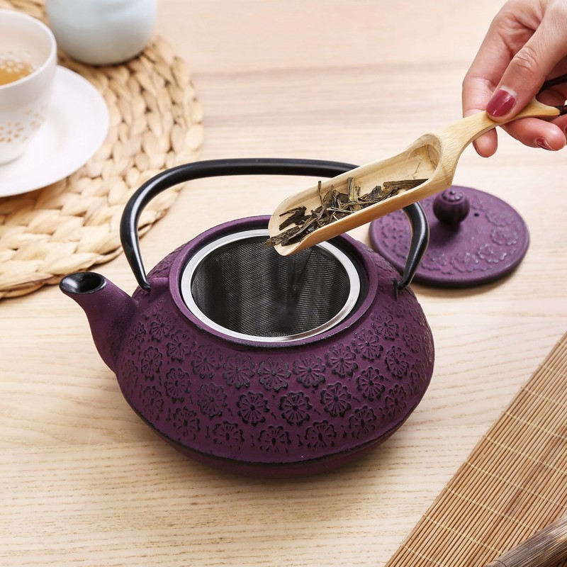 30 oz Cast Iron Teapot Enamel Lining W/Metal Infuser Tea