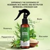 Botanic Hearth Advanced Rosemary Water Spray For Hair Growth With