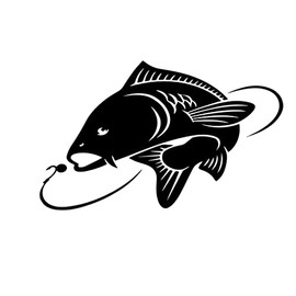 Carp Fish Sticker, Fishing Decals for Truck Car Van Tackle Box, Vinyl Decals, Fishing Accessrories (250mm x 155mm (LxH))